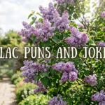 Lilac Puns & Jokes: Ultimate Purple Humor Collection